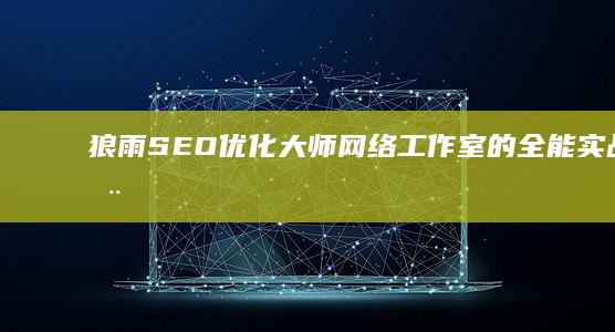 狼雨SEO优化大师：网络工作室的全能实战利器