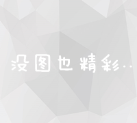 狼雨SEO优化大师：网络工作室的全能实战利器